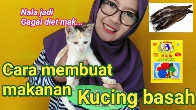 'Cara membuat makanan kucing basah // kucing auto gimbul'