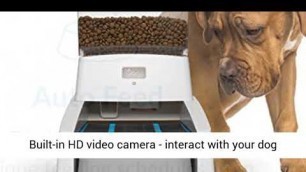 'Wagz Smart Dog Feeder, Automatic Dog Food Dispenser with Video and Portion Control, White'