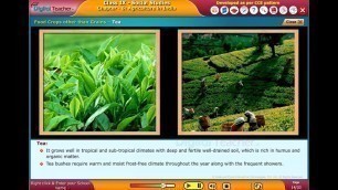 'Food Crops other than Grains, Class 9 Social | Digital Teacher'