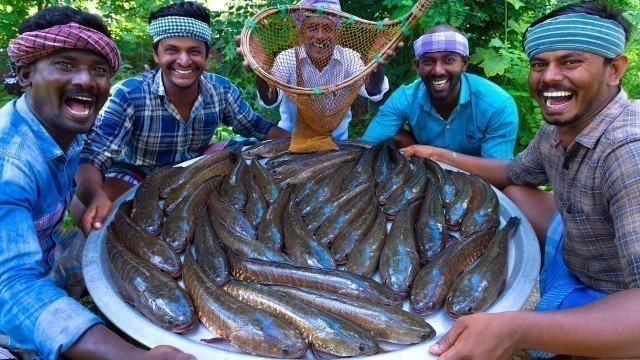 'SNAKEHEAD MURREL FISH | Viral Meen | River Fish Fry Cooking  In Village | Village Fish Fry Recipe'