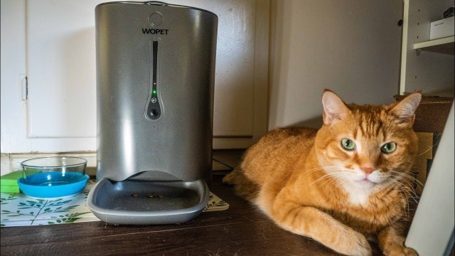 'FEED your PET from ANYWHERE! // Review WOpet Automatic Cat + Dog Smart Feeder, Wifi Camera + App'