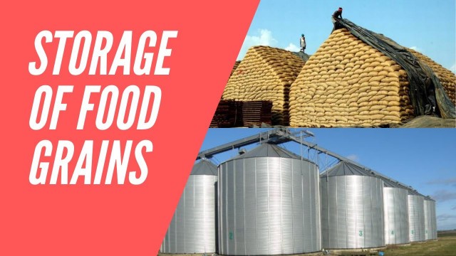 'Storage of Food Grains For Class 8 | Food From Animals | Animal Husbandry | Fish as Food'