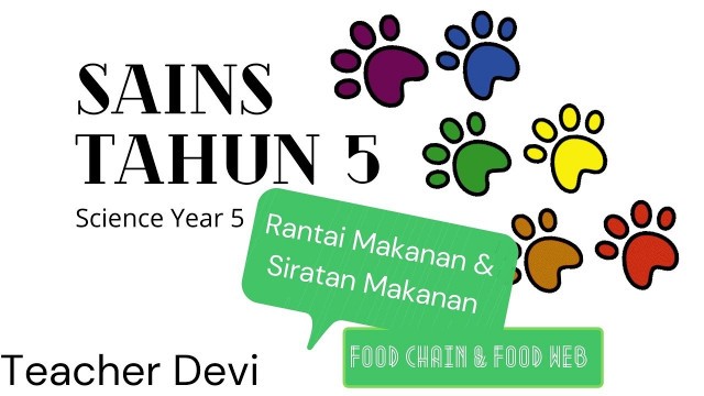 'Rantai Makanan dan Siratan Makanan/ Food Chain and Food Web'