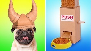 'Coolest Dog Cardboard Crafts || DIY Viking Helmet And Food Dispenser From Cardboard'