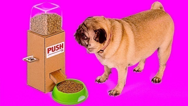 'AWESOME CARDBOARD IDEAS FOR YOUR PETS || DIY Food Dispenser And Giant Labyrinth From Cardboard'