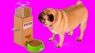 'AWESOME CARDBOARD IDEAS FOR YOUR PETS || DIY Food Dispenser And Giant Labyrinth From Cardboard'