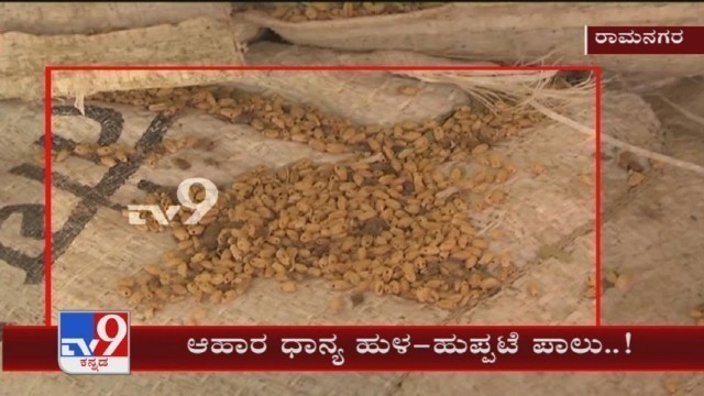 'ದವಸ-ಧಾನ್ಯ ಹುಳು ಪಾಲು: Worms Found In Free Food Grains Allotted By Government For Poor At Ramnagara'