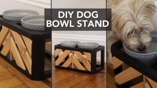 'DIY Dog Bowl Stand | Raised Dog Feeder'