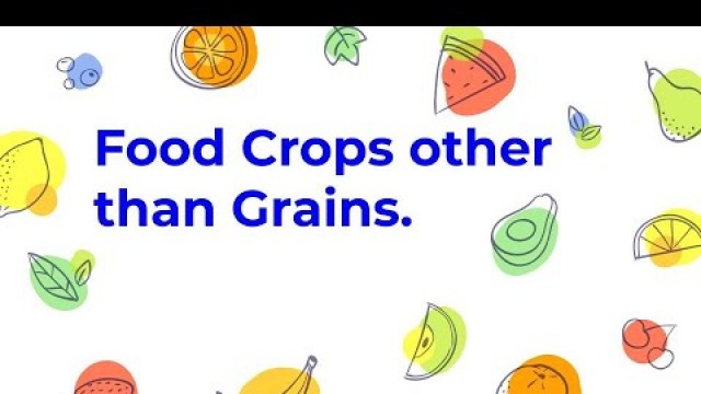 'Food crops other than Grains|CBSE|CLASS 10|Agriculture'