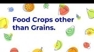 'Food crops other than Grains|CBSE|CLASS 10|Agriculture'