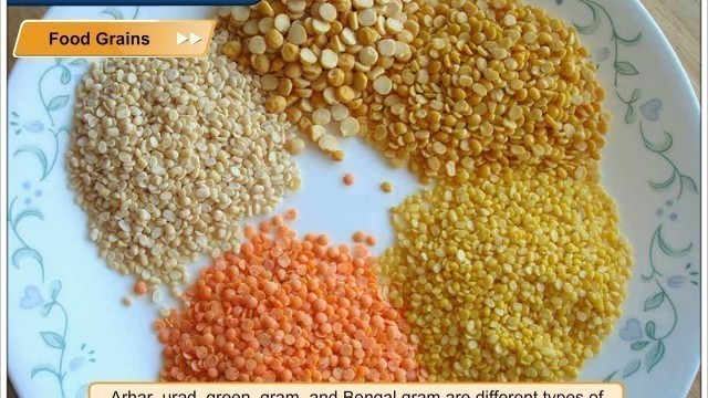 'Food Grains | Environmental Studies Class 4'