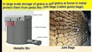 'STORAGE OF FOOD GRAINS CLASS 8 SCIENCE CH.1'