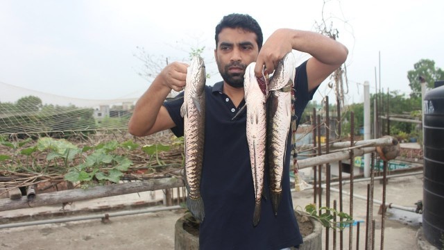 'Village Food | Snakehead fish with kumrobori | Grandmother recipes-35'