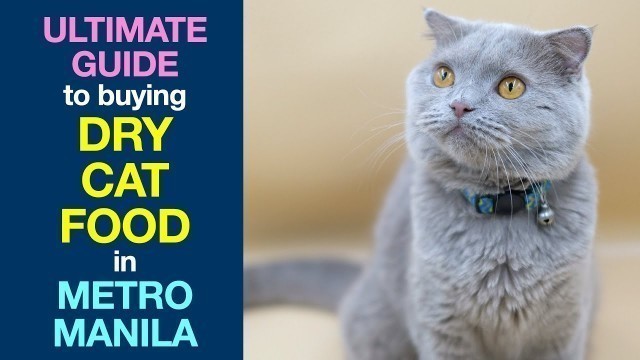 'Ultimate Guide to Buying DRY CAT FOOD in Metro Manila'