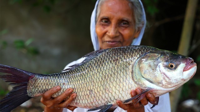 'Katol Macher Recipe | Grandma\'s Special Katla Fish Curry purely Village Style Cooking | villfood'