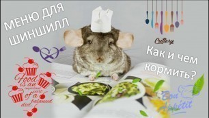 'Чем и как кормить ШИНШИЛЛ?Основы кормления и рациона ШИНШИЛЛ!Chinchilla\'s Nutrition - Food and Diet'