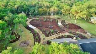 'From Lawn Wasteland to EPIC FOOD FOREST in 10 Days!'