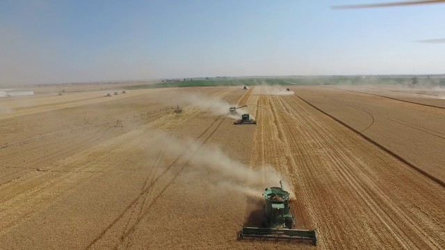 'Canadian Foodgrains Bank Vauxhall Alberta 2017 Harvest'