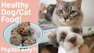 'Healthy Dog/Cat Food on a budget! PHILIPPINES'