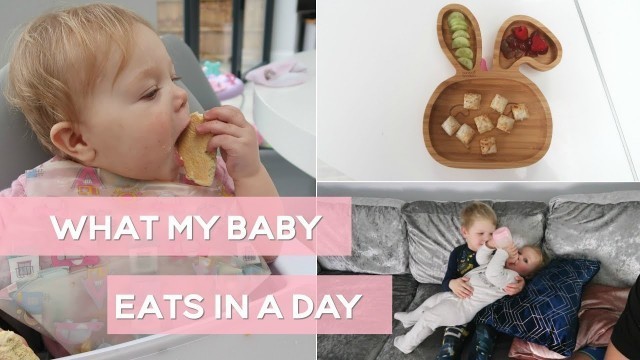 'What My 10 Month Old Baby Eats In a Day'