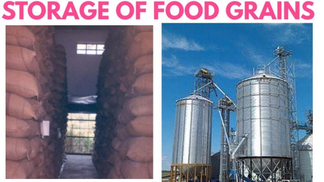 'Storage of food grains class 8 | storage of food grains in India | DARSHAN CLASSES'