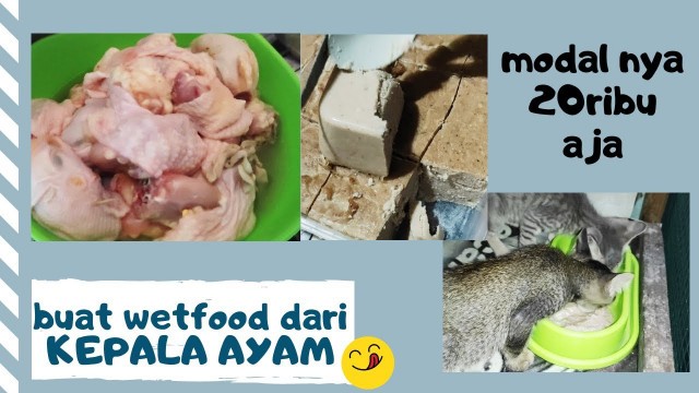 '26. BUAT WETFOOD DARI KEPALA AYAM MODAL 20 RIBU AJA || Makanan Kucing'