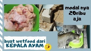 '26. BUAT WETFOOD DARI KEPALA AYAM MODAL 20 RIBU AJA || Makanan Kucing'