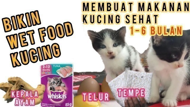 'Begini Lho Cara Membuat Makanan Kucing Biar Gemuk dan Sehat || Tips Agar Anak kucing Cepat Gembul'