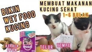 'Begini Lho Cara Membuat Makanan Kucing Biar Gemuk dan Sehat || Tips Agar Anak kucing Cepat Gembul'