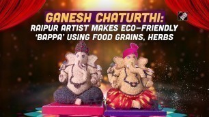 'Ganesh Chaturthi: Raipur artist makes eco-friendly ‘Bappa’ using food grains, herbs'