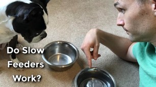 'Do Slow Feeder Dog Food Bowls Actually Work? Side By Side Demo!'