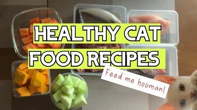 'Healthy Homemade Cat Food Recipes'