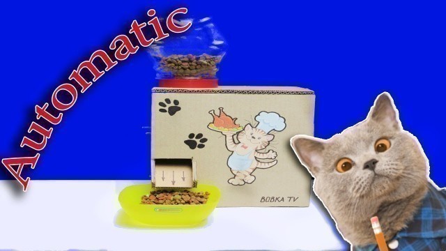 'DIY Automatic Feeder for Pets with Digital Timer'