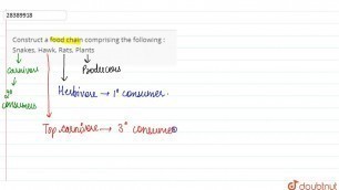 'Construct a food chain comprising the following : Snakes, Hawk, Rats, Plants'