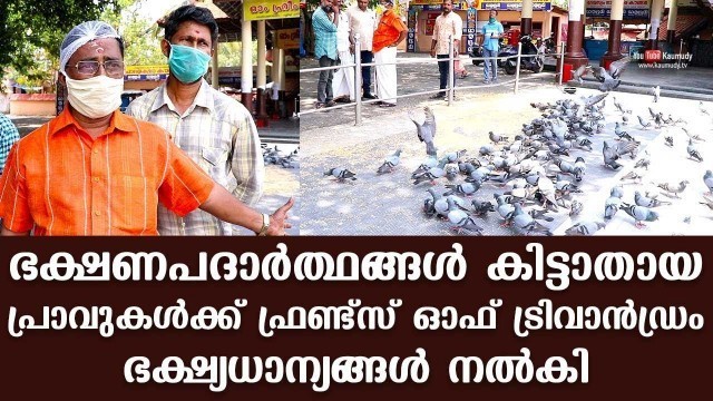 'Friends of Trivandrum provided food grains to the doves who had no food to eat'