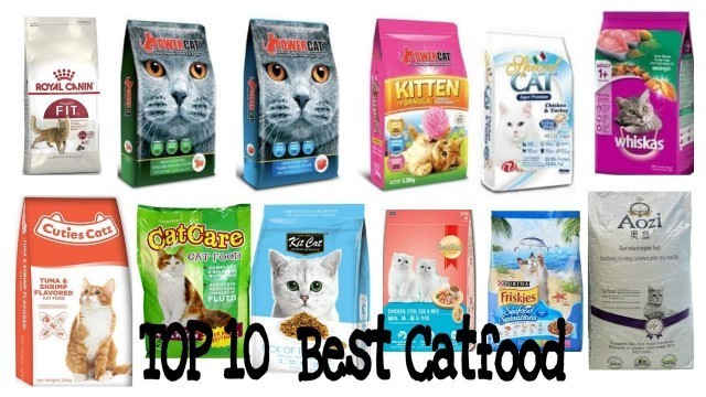 'TOP 10 BEST CATFOOD IN PH 2020'