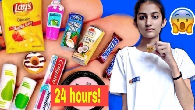 'I ate only “Mini” food for 24 hours *gone cutest*