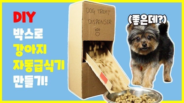 '[DIY] 박스로 강아지 자동급식기를 만들어 보았습니다 | DIY Dog food Dispenser from the box at home'