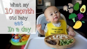 'What my 10 month old baby eat in a day'