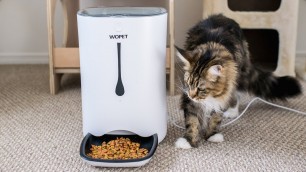 'WOPET Automatic Pet Feeder Setup and Review'