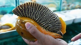 'GIANT SEAFOOD - MONSTER SEA SNAIL Thailand Street Food'