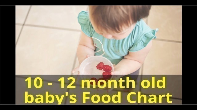 '10 -12  months old baby food chart'