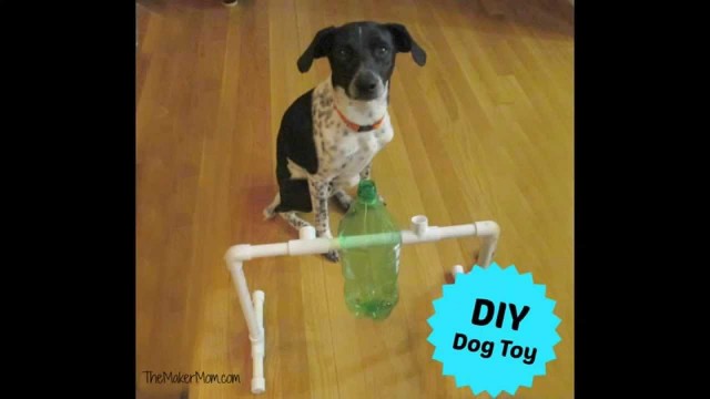 'Fun DIY Dog Toy and Treat Dispenser'