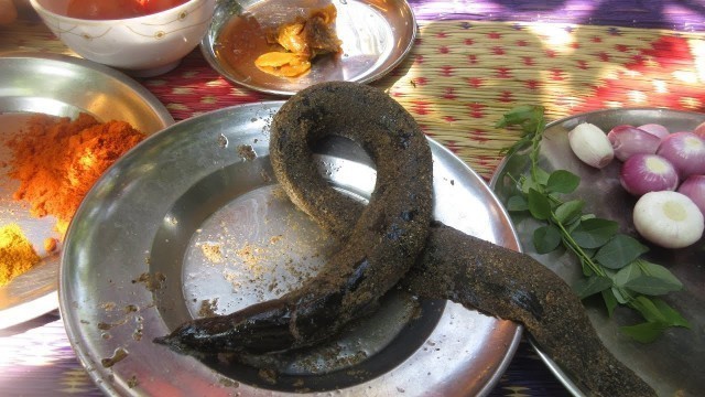 'Eel fish Kulambu my village cooking /village food / Village food Recipes'