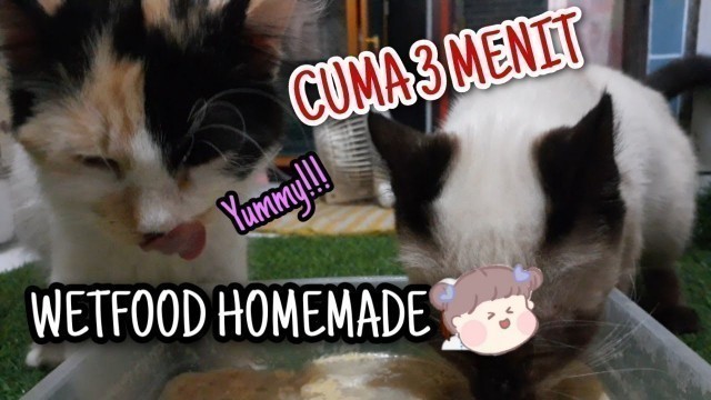 'CARA MEMBUAT MAKANAN BASAH UNTUK KUCING | WET FOOD HOMEMADE'