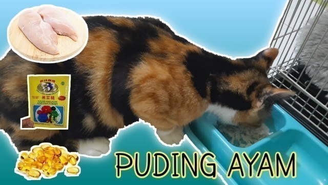 'MEMBUAT WET FOOD untuk KUCING dan HASIL VITAMIN PENUMBUH BULU KUCING'