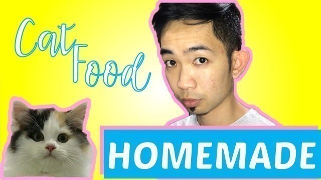 'DIY CAT FOOD (EASY HOMEMADE RECIPE) BY: MON'