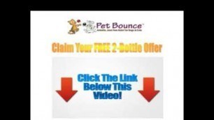 'Dog & Cat Arthritis Treatment - Pet Bounce Review with FREE trial available'