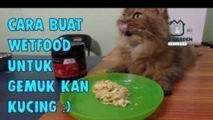 'Cara Buat Wetfood Untuk Gemuk Kan Kucing'