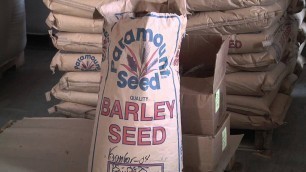 'Paramount Seed Farms & Paramount Food Grains'